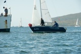 blue fin 2555c whyw22 sun 800_2352yi